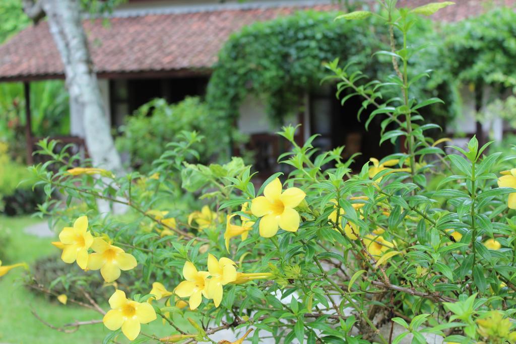 Margo Utomo Eco Resort Kalibaru Exteriér fotografie