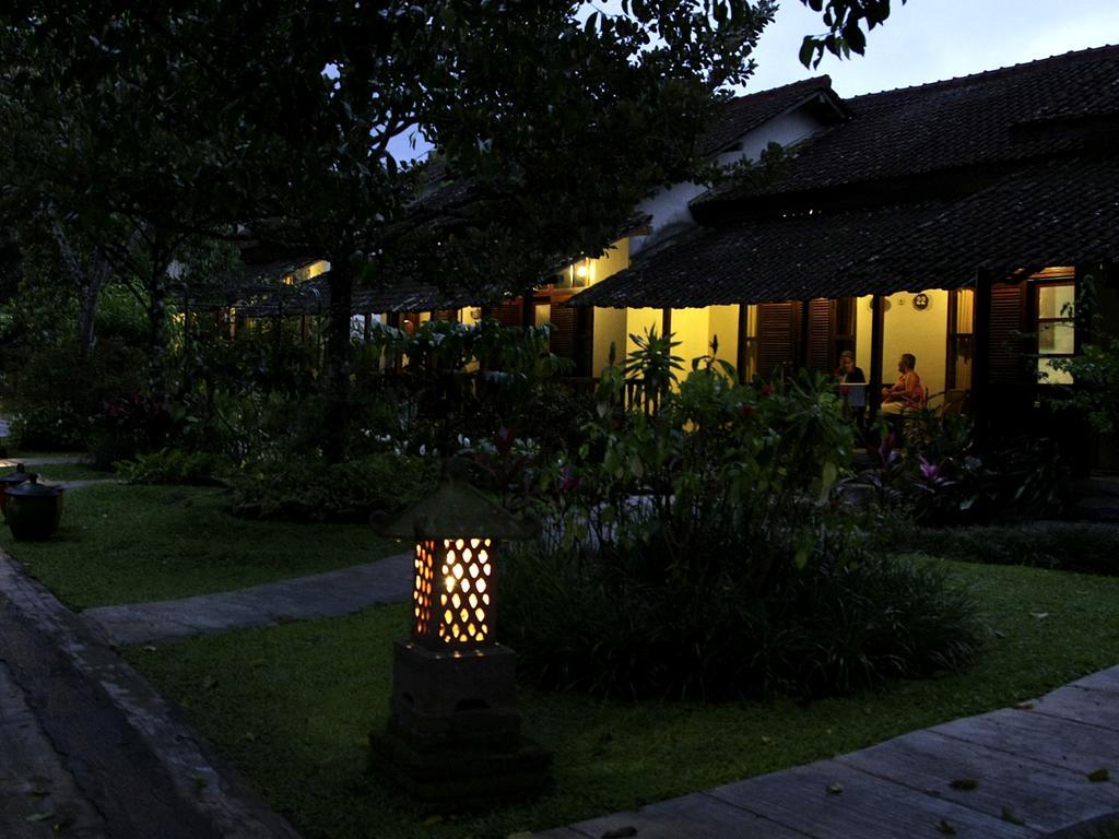 Margo Utomo Eco Resort Kalibaru Exteriér fotografie