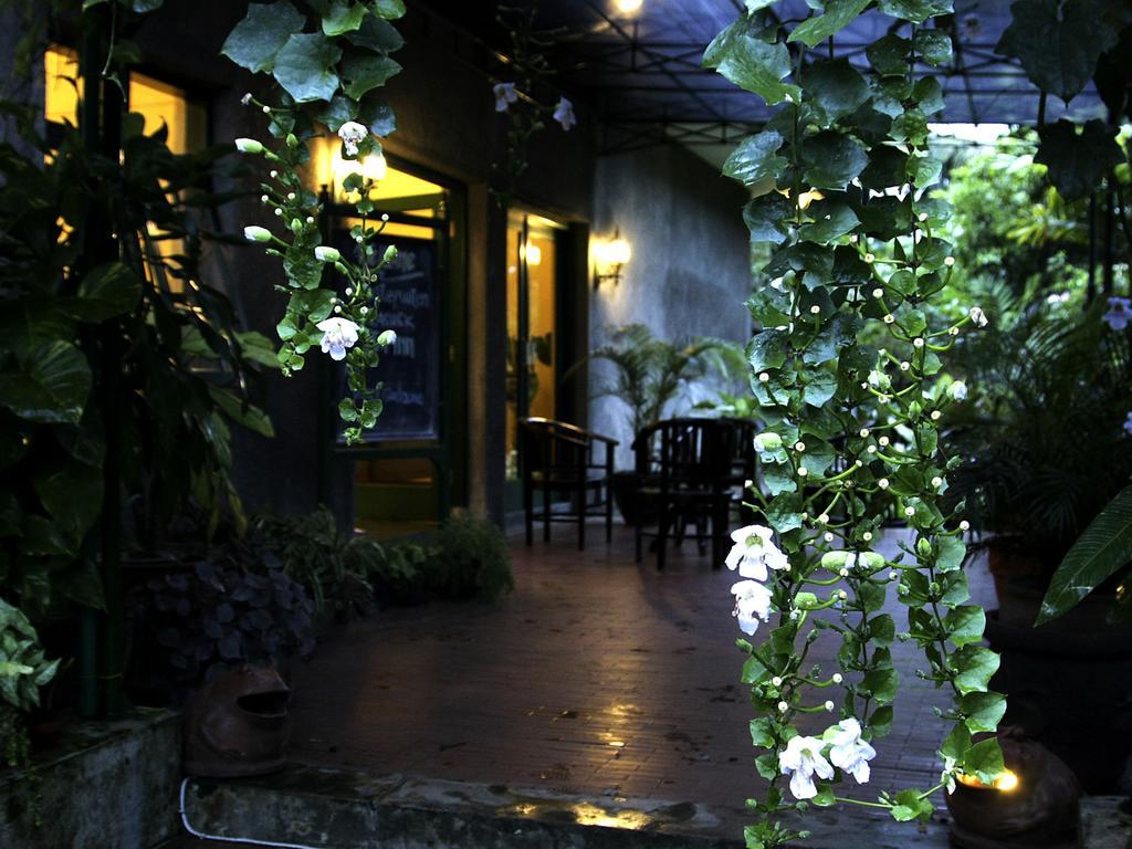 Margo Utomo Eco Resort Kalibaru Exteriér fotografie