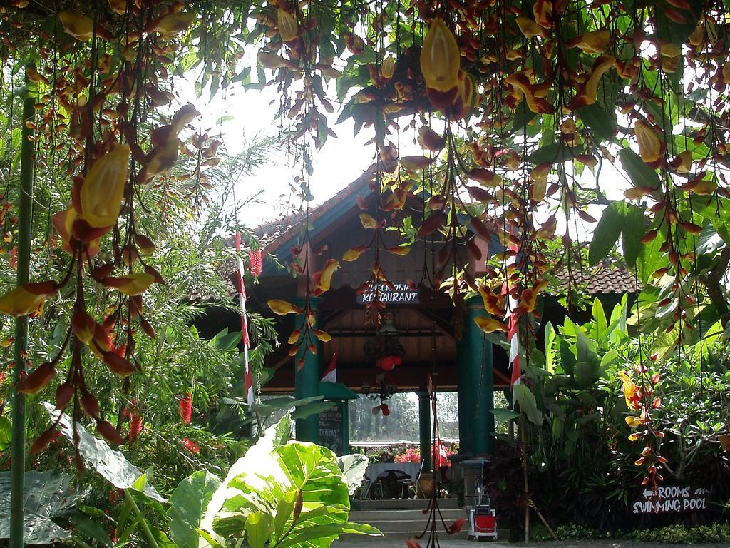 Margo Utomo Eco Resort Kalibaru Exteriér fotografie