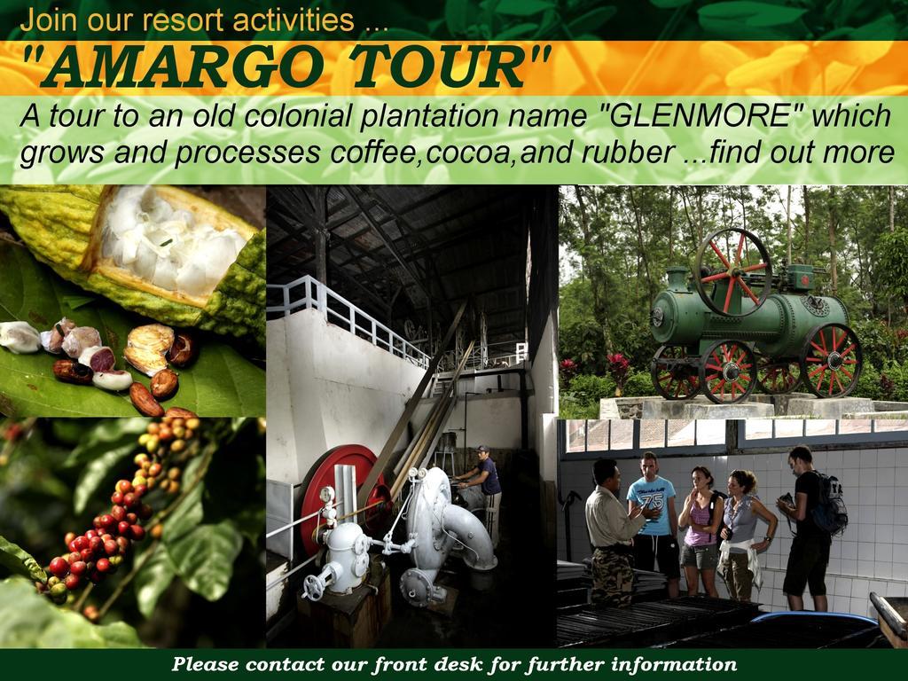 Margo Utomo Eco Resort Kalibaru Exteriér fotografie