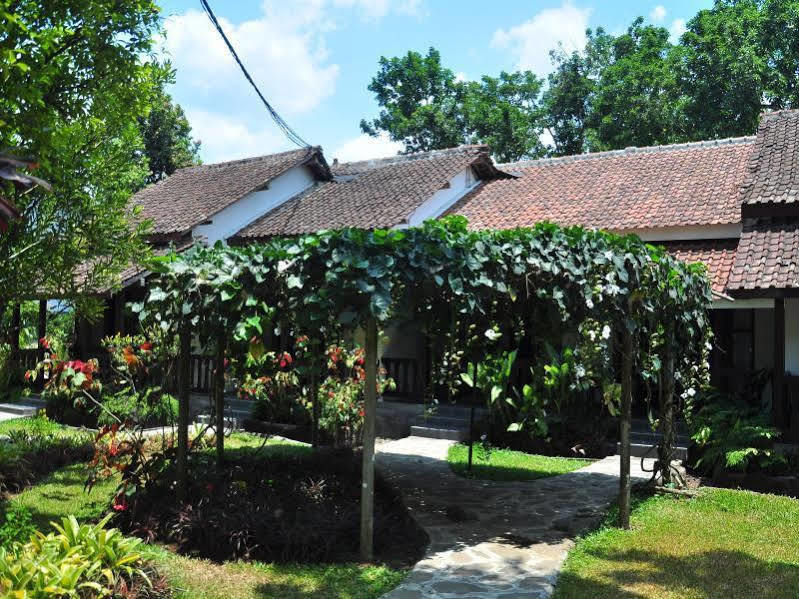 Margo Utomo Eco Resort Kalibaru Exteriér fotografie
